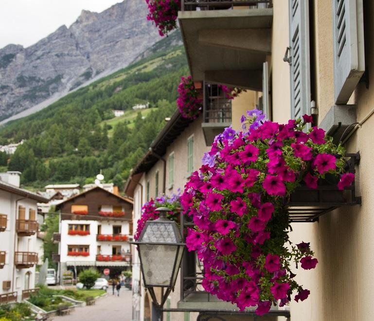 Meuble Albergo Dante Bormio Kültér fotó